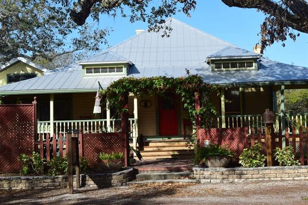 The Mermaid & Her Fisherman