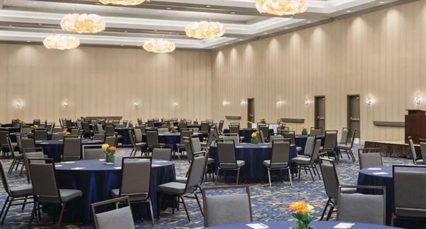 Embassy Suites by Hilton McAllen Convention Center