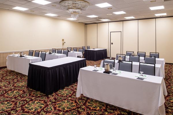 Holiday Inn Hotel & Suites Chicago-Downtown