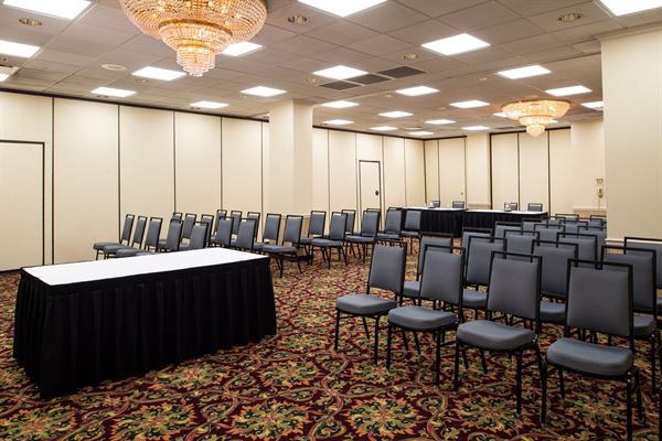 Holiday Inn Hotel & Suites Chicago-Downtown