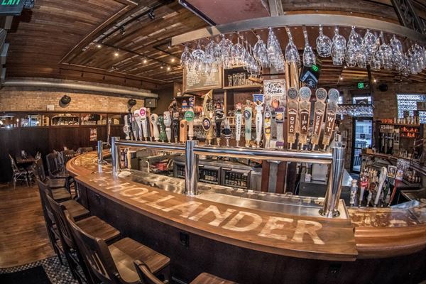 Café Hollander Downer