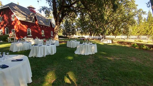 Rough And Ready Vineyards