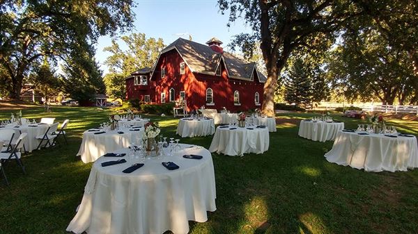 Rough And Ready Vineyards