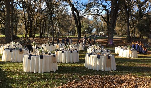 Rough And Ready Vineyards