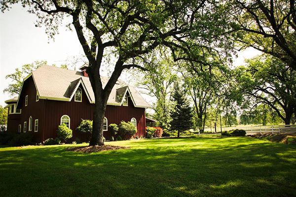 Rough And Ready Vineyards