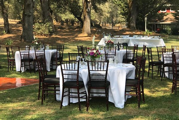 Rough And Ready Vineyards