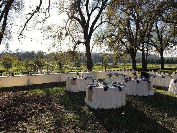 Rough And Ready Vineyards