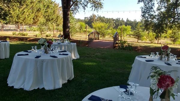 Rough And Ready Vineyards