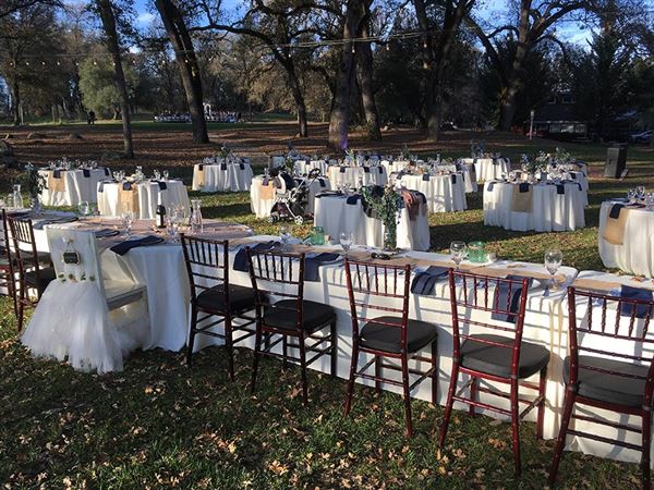 Rough And Ready Vineyards