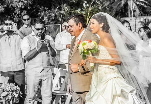 Terry James Photography