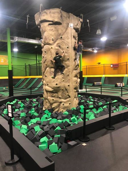 Rockin Jump Brown Deer