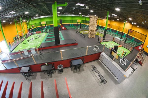 Rockin Jump Brown Deer