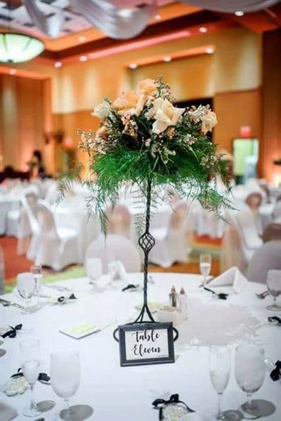 Embassy Suites by Hilton East Peoria Riverfront Hotel & Conference Center