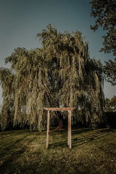 The Rustic Barn at Prairie Gardens by 1841