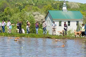 Sally's Dog Pond