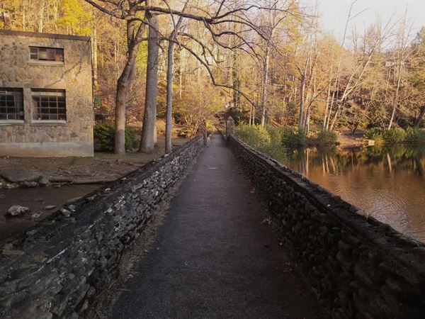 BrainWaves AV Solutions