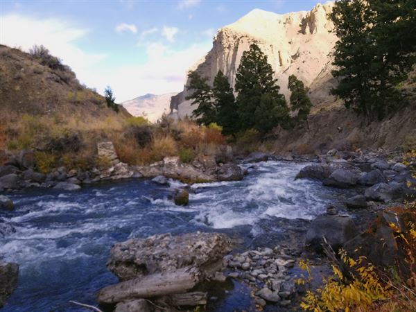 BrainWaves AV Solutions