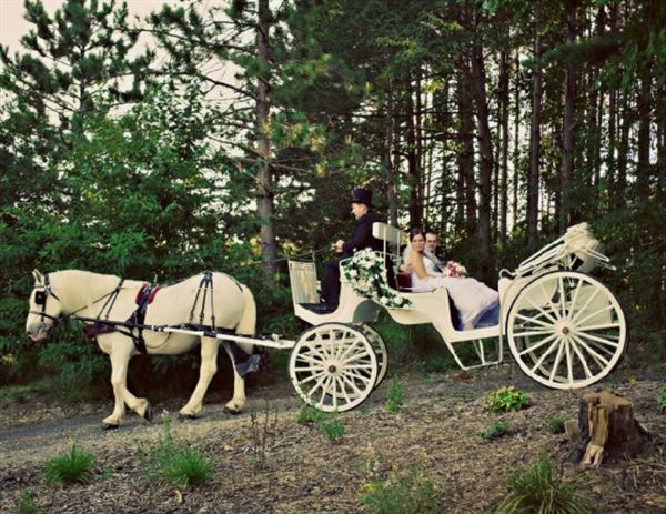 Pine Grove Banquet Hall