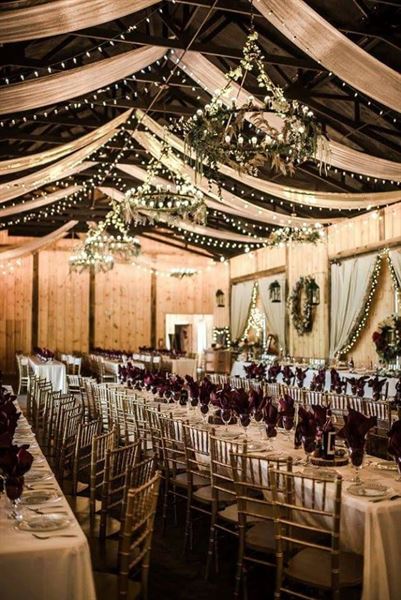 Bella Amore on Enchanted Acres