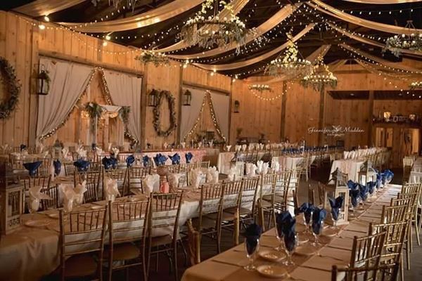 Bella Amore on Enchanted Acres