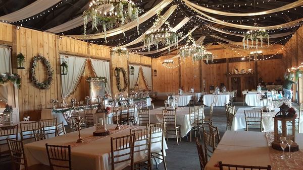 Bella Amore on Enchanted Acres