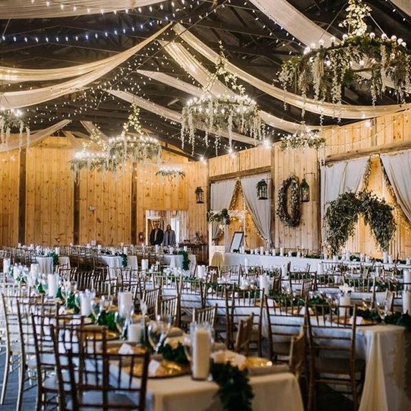 Bella Amore on Enchanted Acres