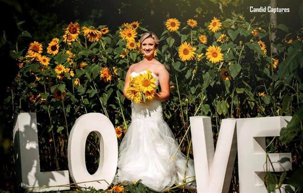 The Party Farm at Sunset Berry Farm