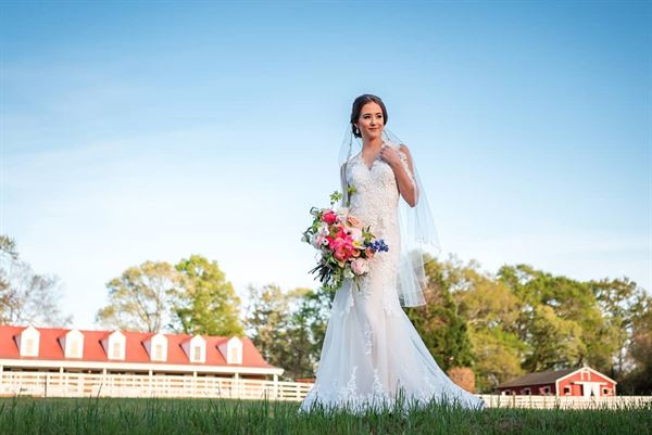 The Gavi Estate and Barn