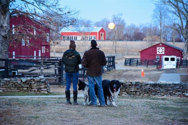 Wyndcrest Estate Venue