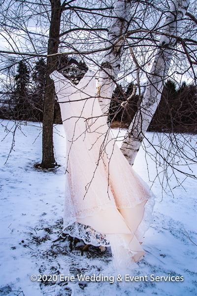 Willow & Roots Studios - Portrait Photography