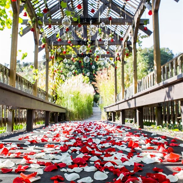 Hans Fahden Vineyards