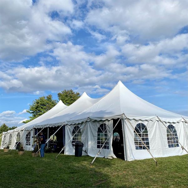 The Old Salt at Lamie's Inn