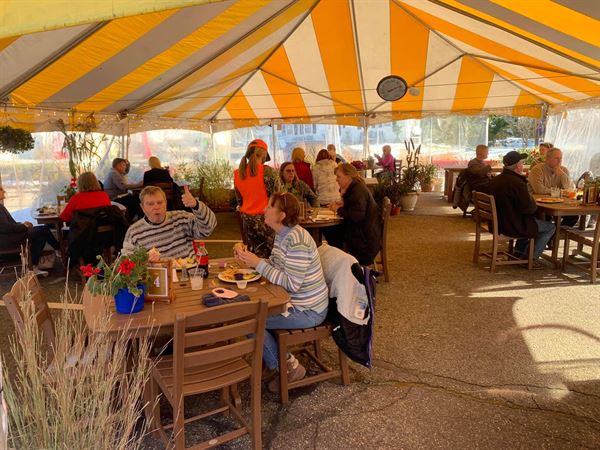 The Old Salt at Lamie's Inn