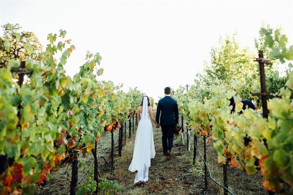 The Highlands Estate - Barn and Vineyard venue