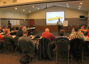 Sassafras / Loblolly