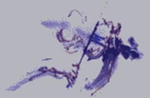 The Vanderbilt Strings