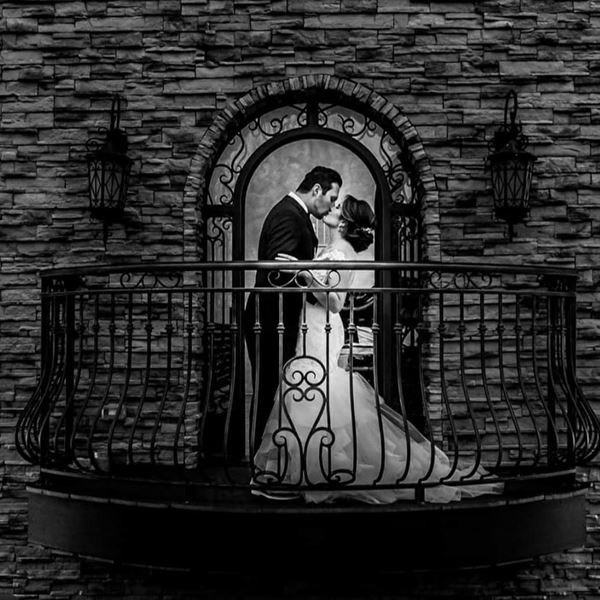 Bella Amore on Enchanted Acres