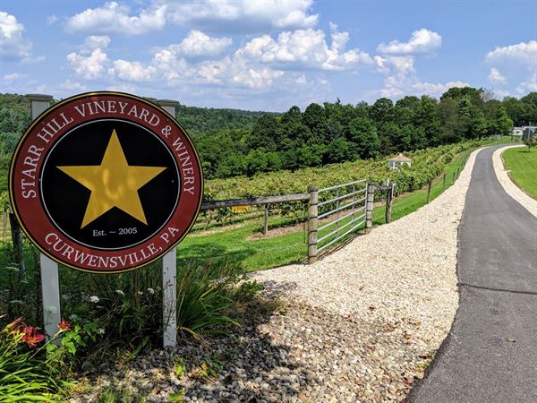 Starr Hill Vineyard & Winery