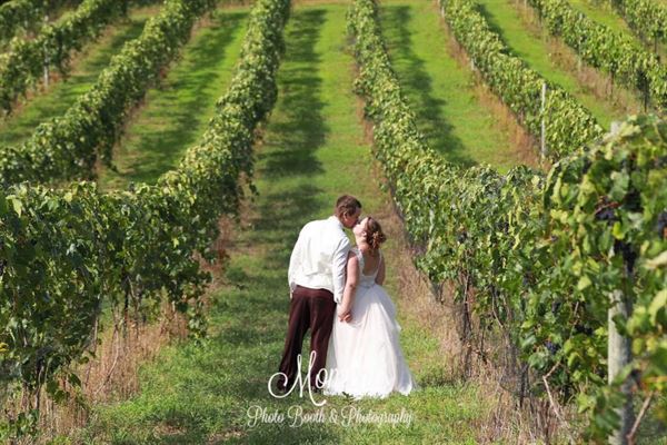 Mackinaw Trail Winery and Brewery