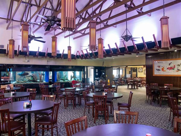 Dynasty Chinese Restaurant