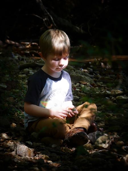 Joni Musser Photography