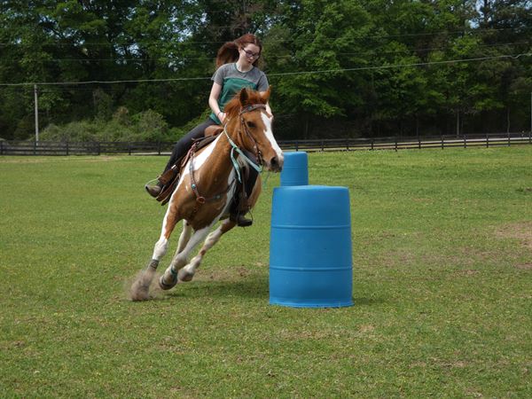 Joni Musser Photography