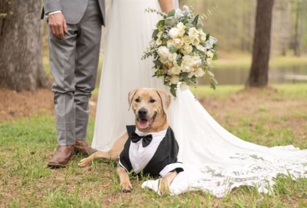 Hollow Creek Plantation