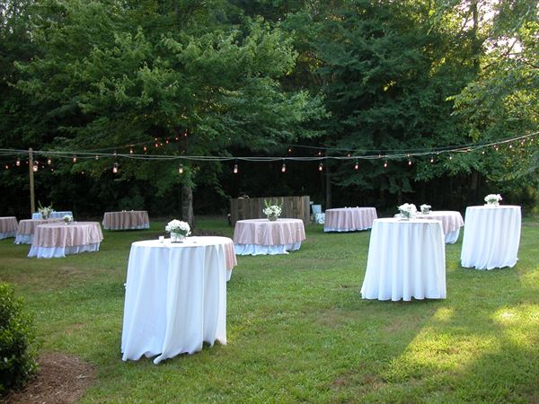 Hollow Creek Plantation