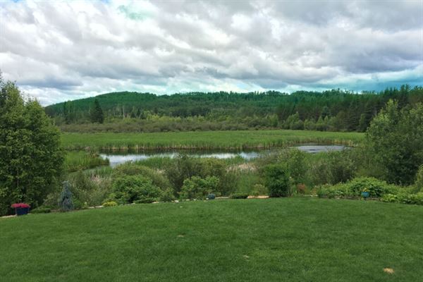 Jack Pine Ridge Retreat
