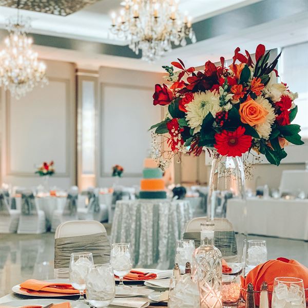 Pelister Park The Venue