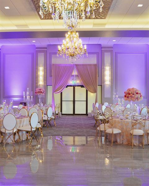 Pelister Park The Venue