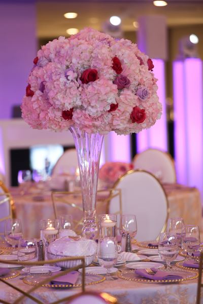 Pelister Park The Venue