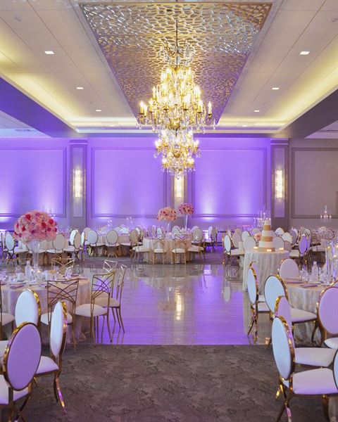 Pelister Park The Venue