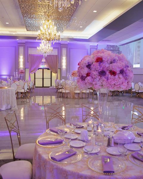 Pelister Park The Venue